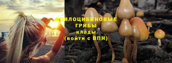 PSILOCYBIN Баксан