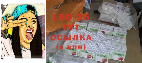 PSILOCYBIN Баксан