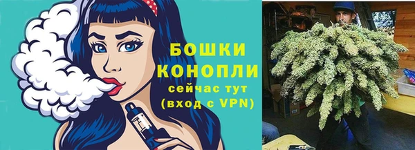 PSILOCYBIN Баксан